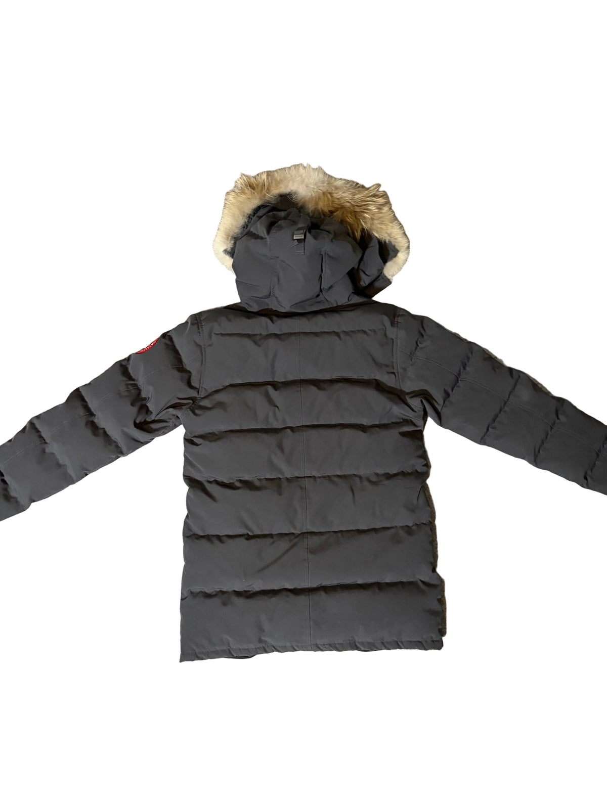 CANADA GOOSE CARSON M