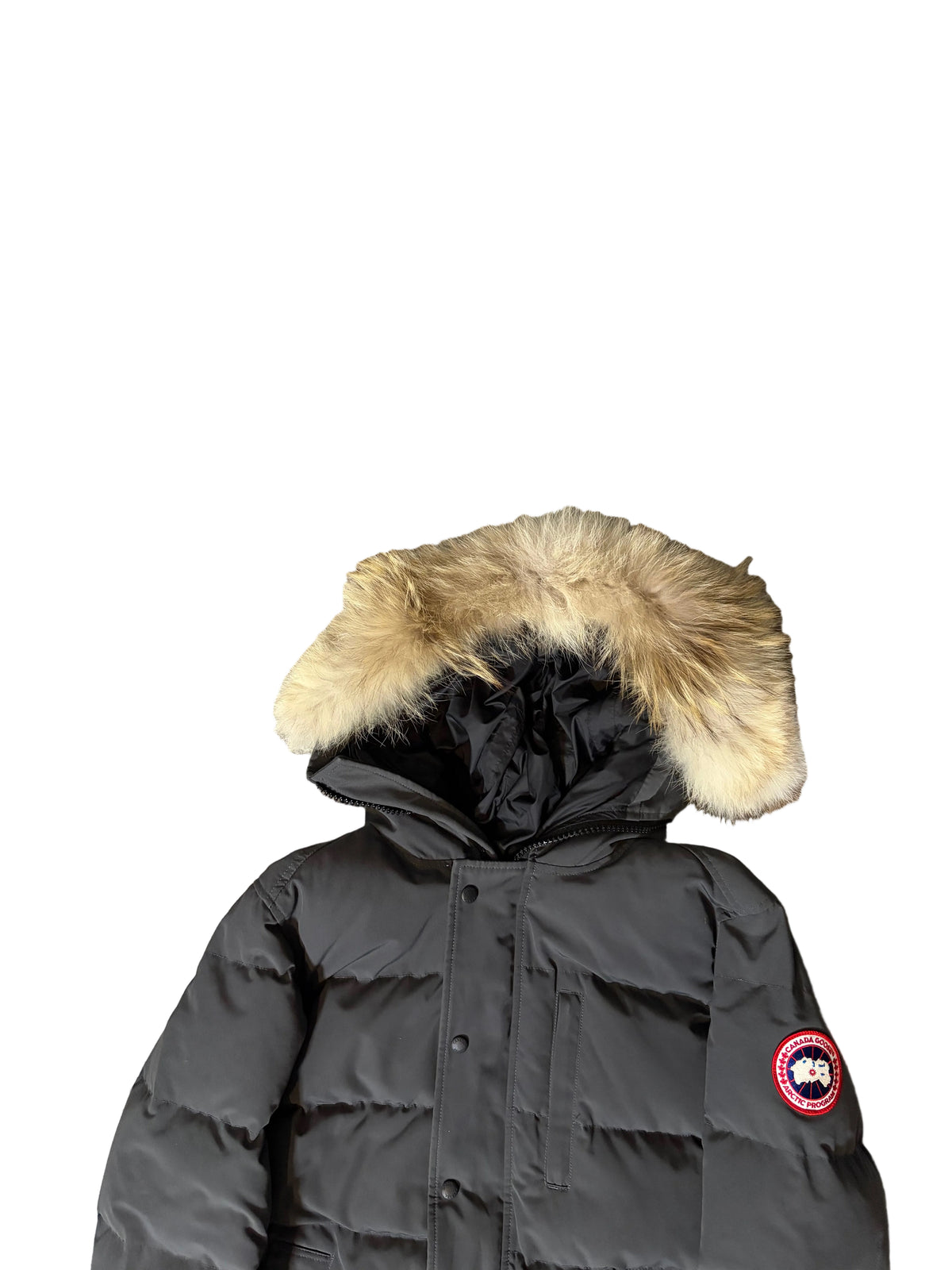 CANADA GOOSE CARSON M