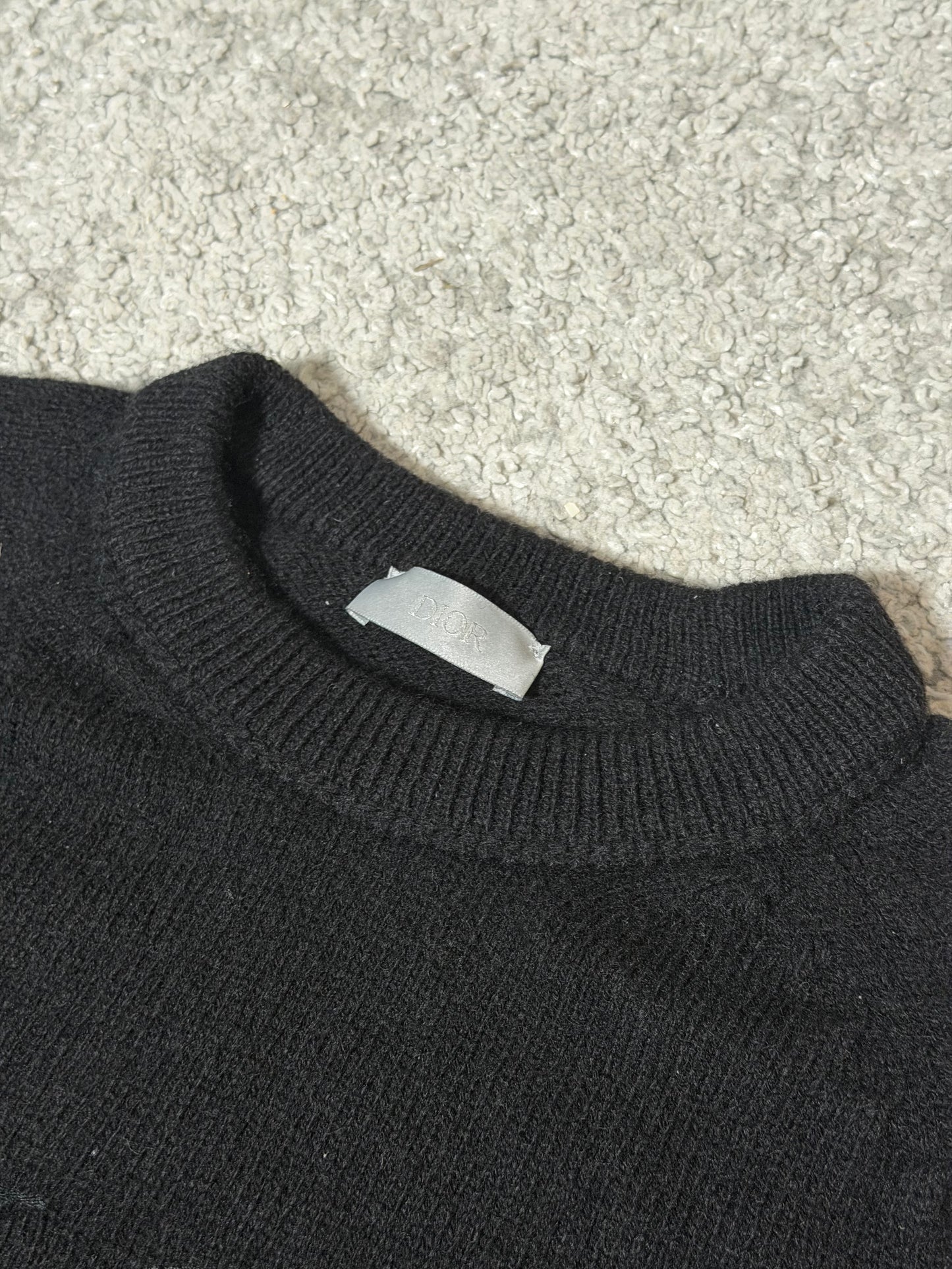 Dior x Peter Doig Neule XS